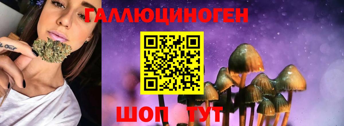 Псилоцибиновые грибы мицелий  Псилоцибиновые грибы мухоморы  Кинешма  Вход с VPN 